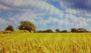 Odunpazarı Akpınar Köyü Resimleri 1