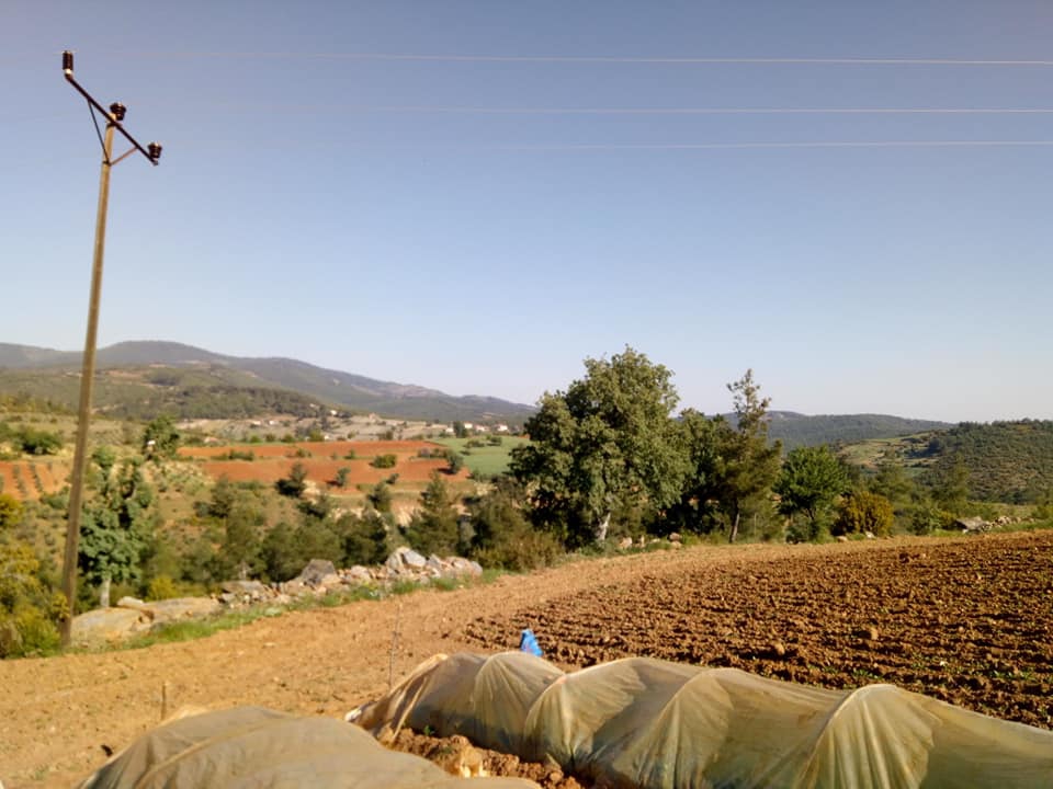 Bozdoğan Örtülü Köyü Resimleri 4