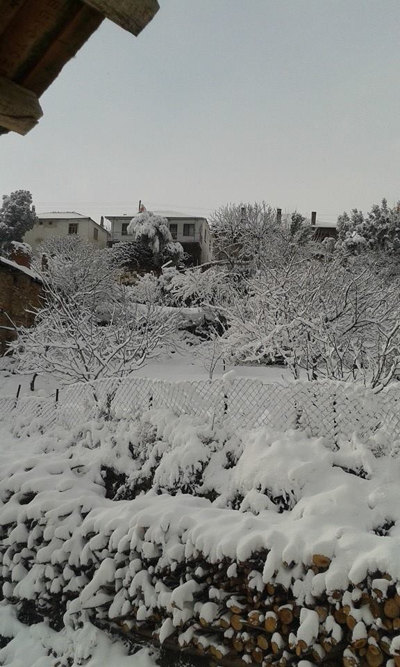 Bozdoğan Örtülü Köyü Resimleri 7