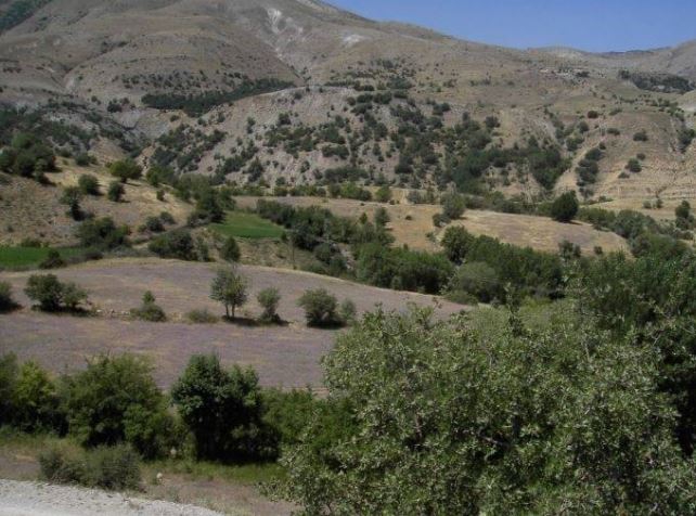 Divriği Çayören Köyü Resimleri 11