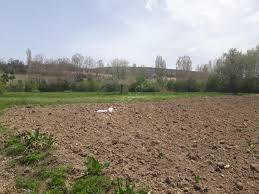 Odunpazarı Aşağıılıca Köyü Resimleri 2