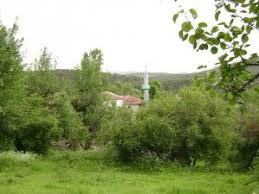 Odunpazarı Çamlıca Köyü Resimleri 2