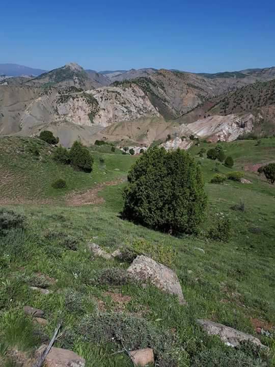 Divriği Çayözü Köyü Resimleri 3