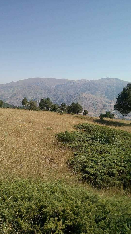 Divriği Çayözü Köyü Resimleri 4