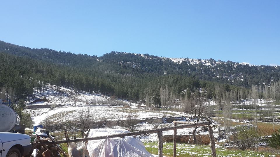 Bozdoğan Yeşilçam Köyü Resimleri 1