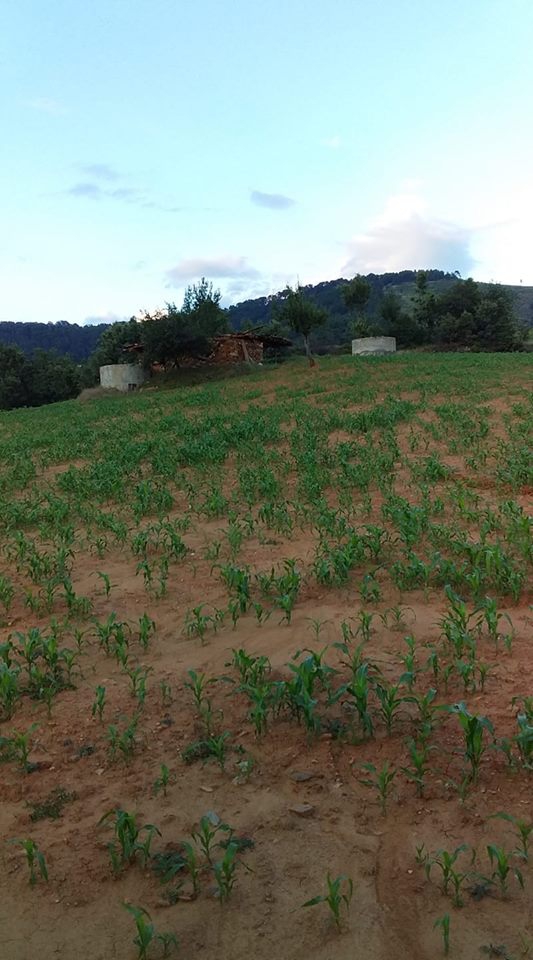 Bozdoğan Yeşilçam Köyü Resimleri 2