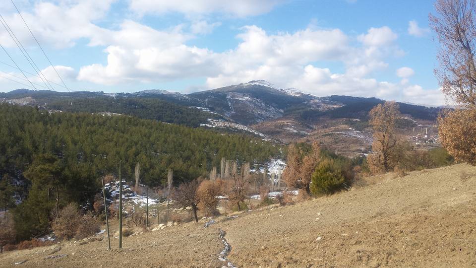 Bozdoğan Yeşilçam Köyü Resimleri 4