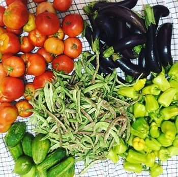 Divriği Çiğdemli Köyü Resimleri 2