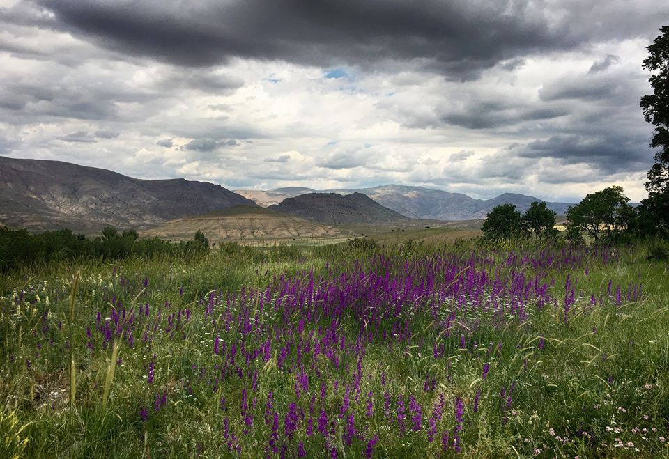 Divriği Çiğdemli Köyü Resimleri 21