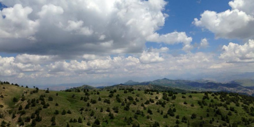 Divriği Çitme Köyü Resimleri
