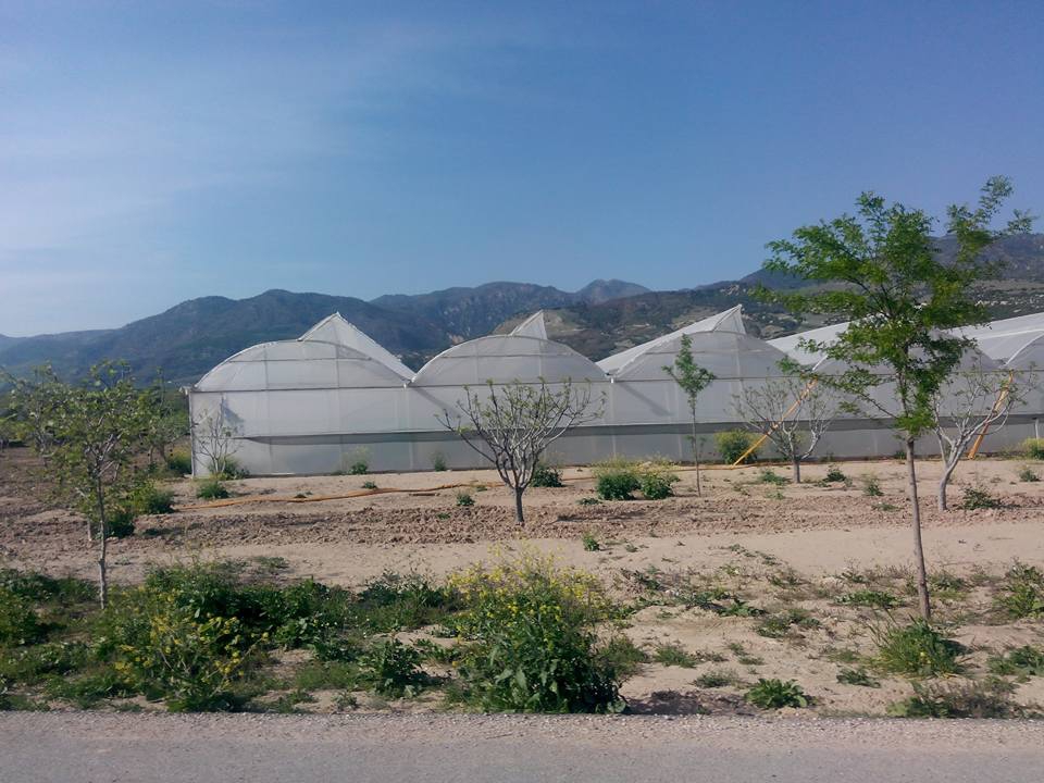 Buharkent Kızıldere Köyü Resimleri 4