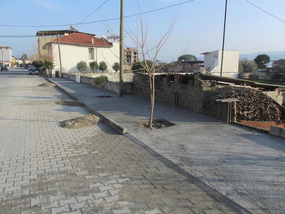 Buharkent Ortakçı Köyü Resimleri 1