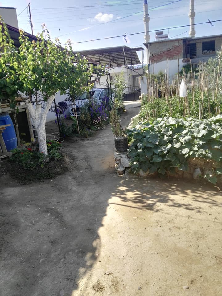 Buharkent Ortakçı Köyü Resimleri 6