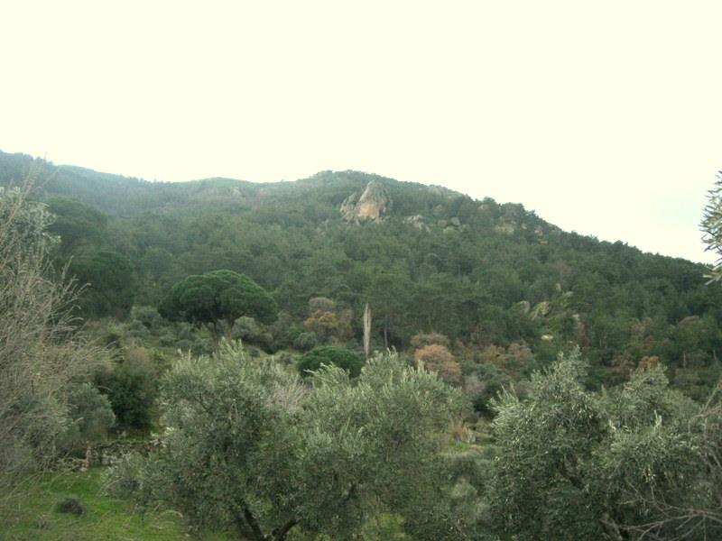 Çine Akçaova Köyü Resimleri 2