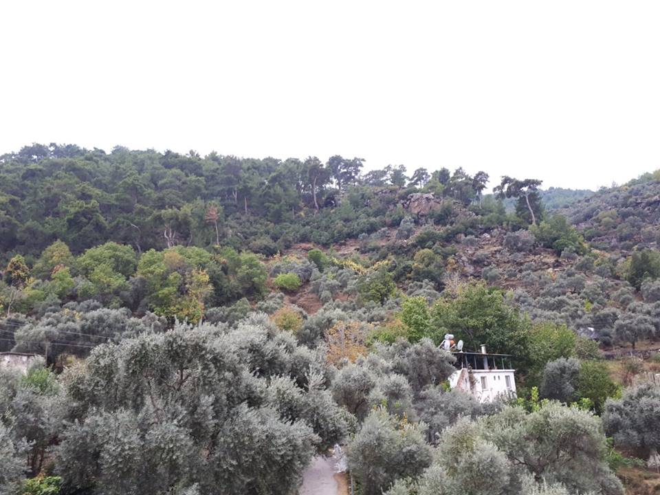 Çine Akçaova Köyü Resimleri 4