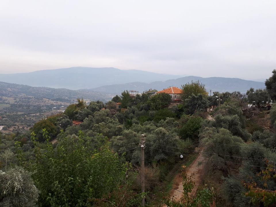 Çine Akçaova Köyü Resimleri 5