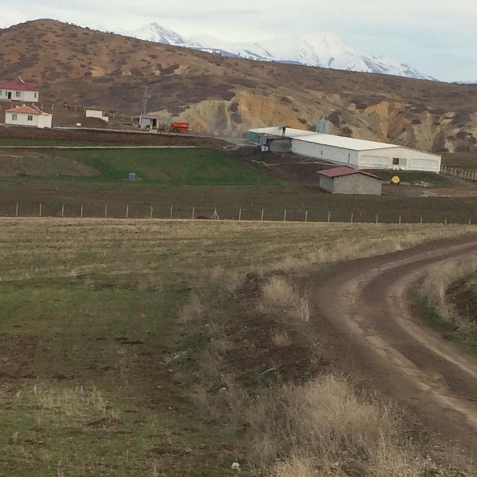 Elazığ Kovancılar Çelebi Köyü Resimleri 3