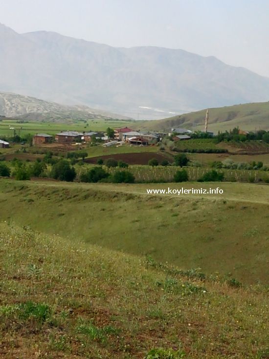 Kovancılar Fahribey Köyü Resimleri 3