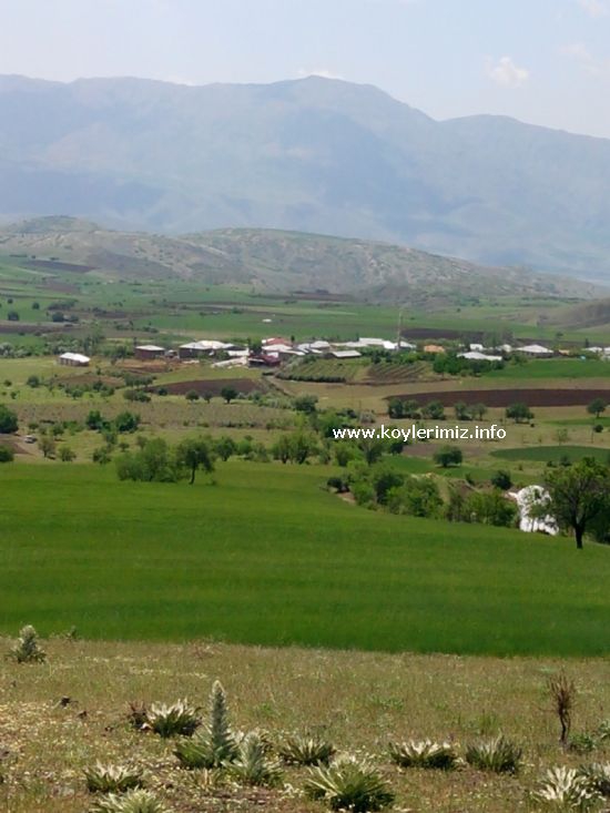 Kovancılar Fahribey Köyü Resimleri 5