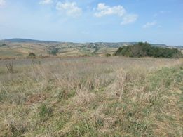 İzmit Ambarcı Köyü Resimleri 1