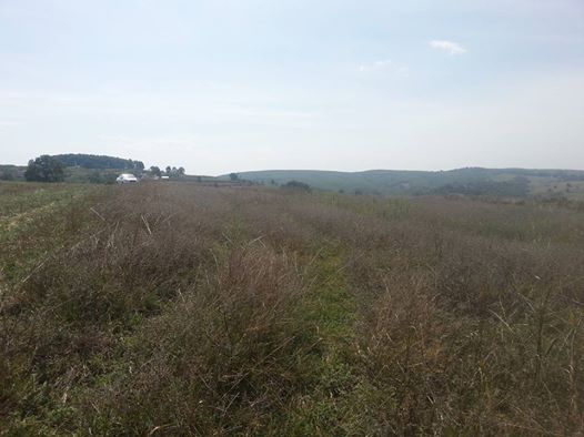 İzmit Ambarcı Köyü Resimleri 2