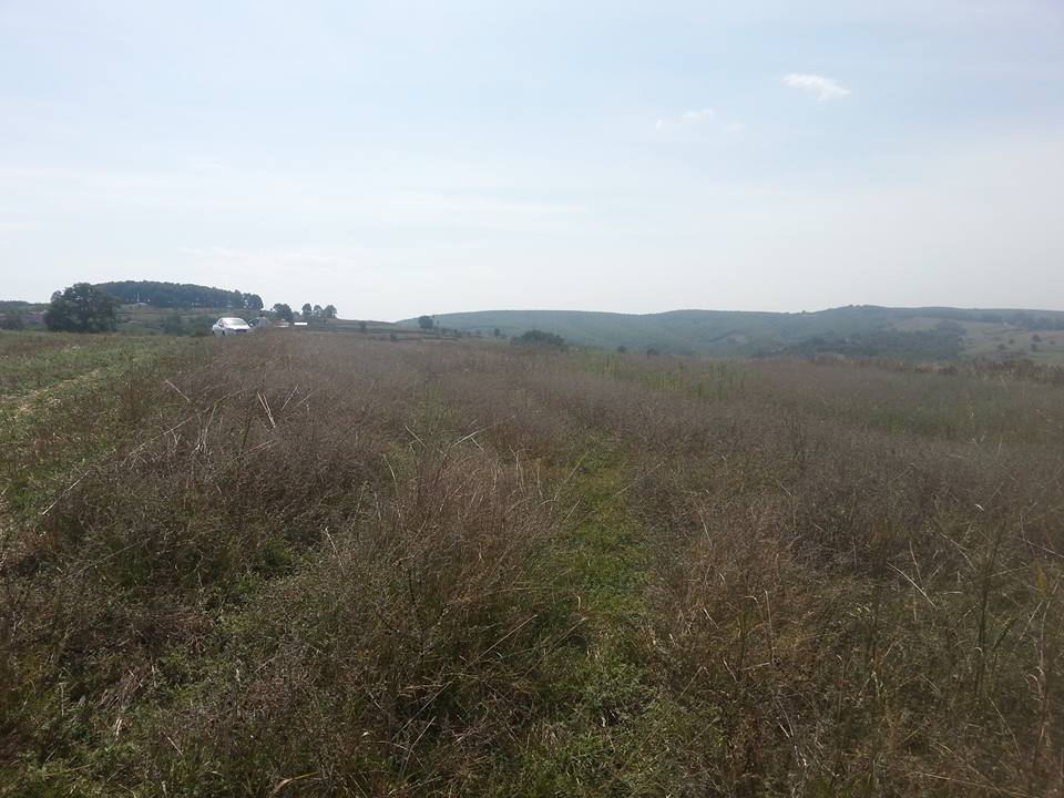 İzmit Arızlı Köyü Resimleri 3
