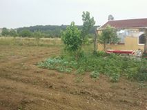 İzmit Bağlıca Köyü Resimleri 2