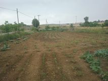 İzmit Bağlıca Köyü Resimleri 3