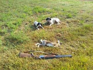 İzmit Bağlıca Köyü Resimleri 6