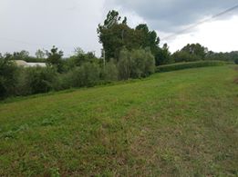 İzmit Bayraktar Köyü Resimleri 4