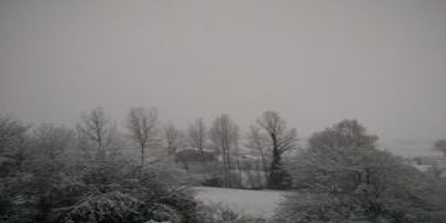 İzmit Böğürgen Köyü Resimleri