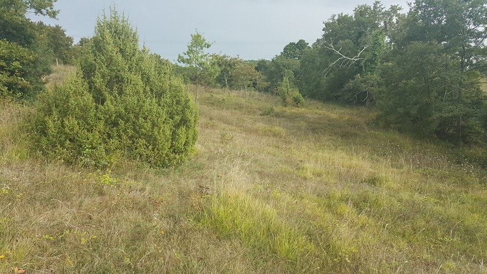 İzmit Bulduk Köyü Resimleri 2