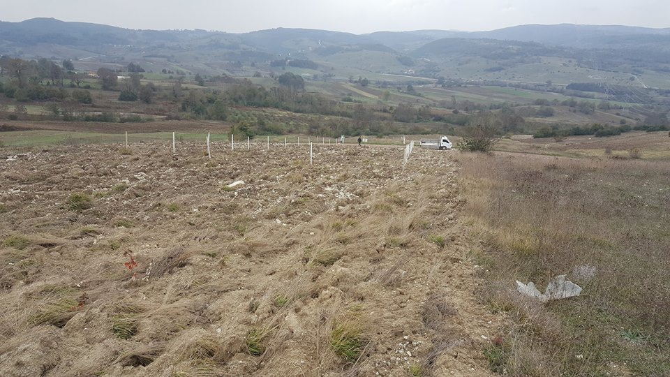 İzmit Bulduk Köyü Resimleri 3