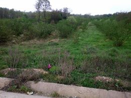 İzmit Bulduk Köyü Resimleri 5