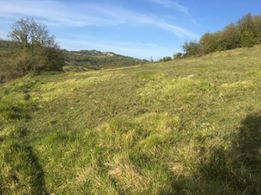 İzmit Bulduk Köyü Resimleri 7