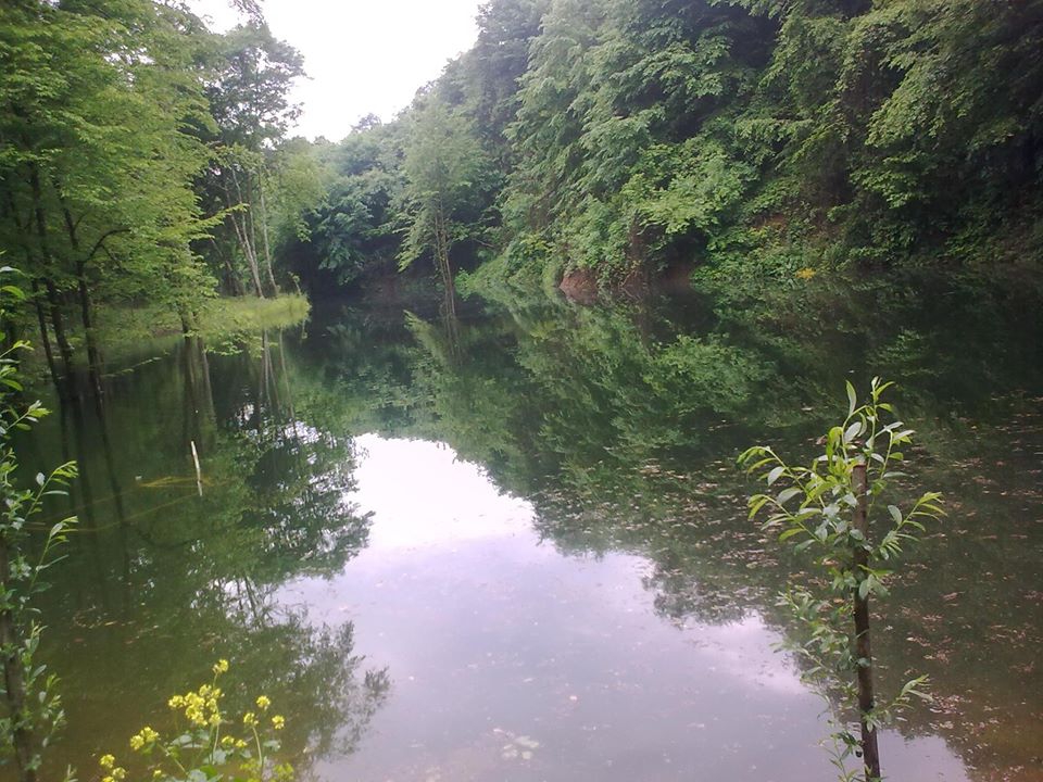 İzmit Çavuşoğlu Köyü Resimleri 1