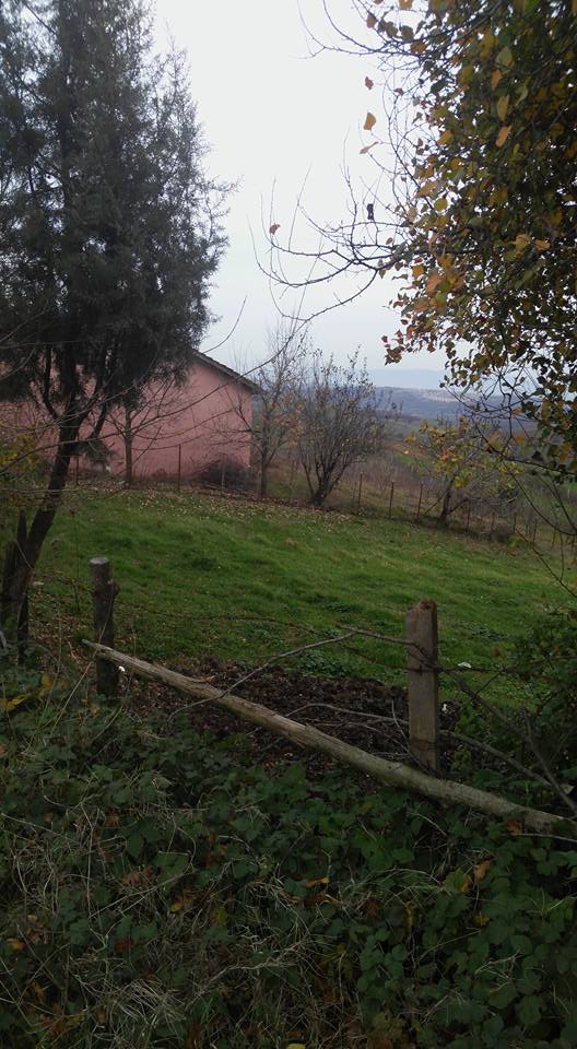 İzmit Çavuşoğlu Köyü Resimleri 3