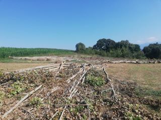 İzmit Eseler Köyü Resimleri 3