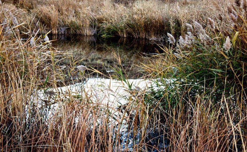 Divriği Dikmeçay Köyü Resimleri 17