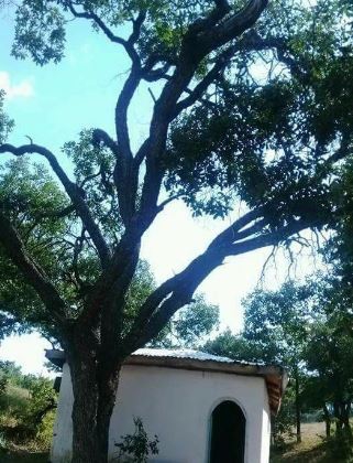 Divriği Dikmeçay Köyü Resimleri 6