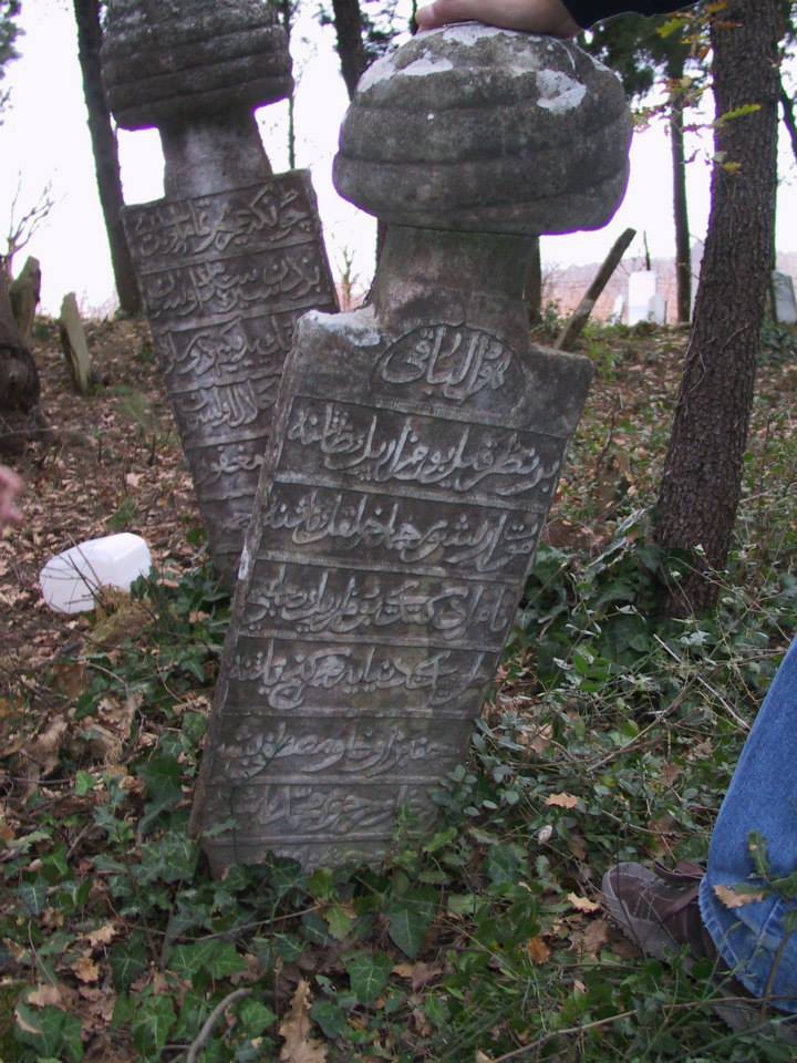 İzmit Hatipköy Köyü  Resimleri 1