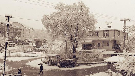 İzmit Hatipköy Köyü  Resimleri 3