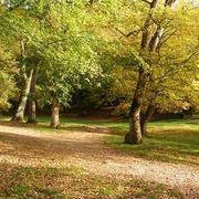 İzmit Karaabdülbaki Köyü Resimleri 1