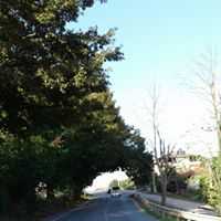 İzmit Karaabdülbaki Köyü Resimleri 3