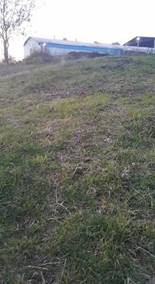 İzmit Kaynarca Köyü Resimleri 4