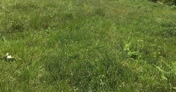 İzmit Kaynarca Köyü Resimleri 5