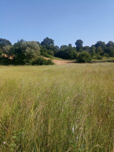 İzmit Kaynarca Köyü Resimleri 6