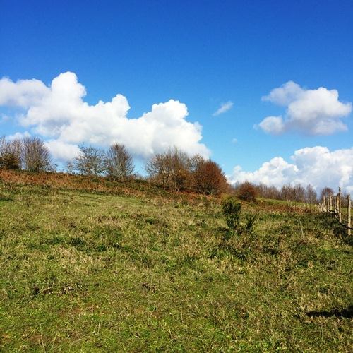 İzmit Kısalar Köyü Resimleri 2