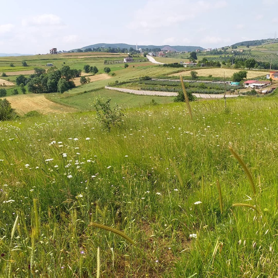 İzmit Kısalar Köyü Resimleri 4