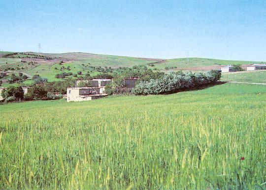 Kovancılar Hacımekke Köyü Resimleri 3